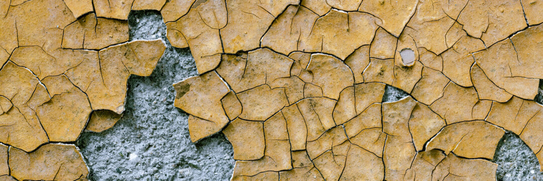 Peeling paint on the wall. Panorama of a concrete wall with old cracked flaking paint. Weathered rough painted surface with patterns of cracks and peeling. Grunge texture for wide panoramic background