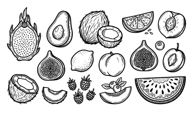 Hand drawn black and white fruit doodle vector set with tropical fruits and sliced illustrations