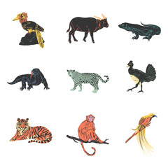 Obraz premium Set of wild exotic animals. Detailed vector illustration of jungle and savanna creatures including birds, reptiles and mammals.