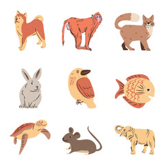 Obraz premium Collection of various wild and domestic animals. Flat vector illustration of cute pets, mammals, birds and sea creatures on white background.