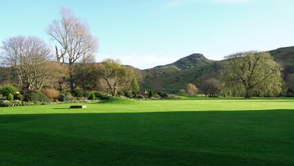 Fototapeta premium golf course