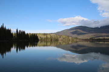 Fototapeta premium reflection of trees in lake
