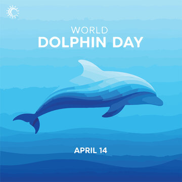 A dolphin swims in the ocean on World Dolphin Day