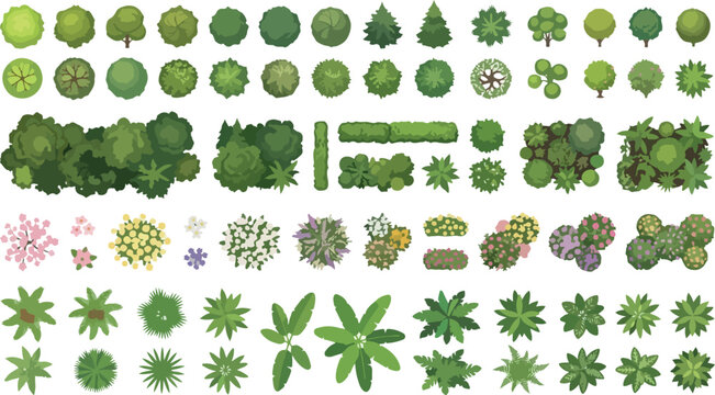 Top view landscape trees and plants vector set, architectural garden plan symbols, green vegetation icons for site mapping and park design