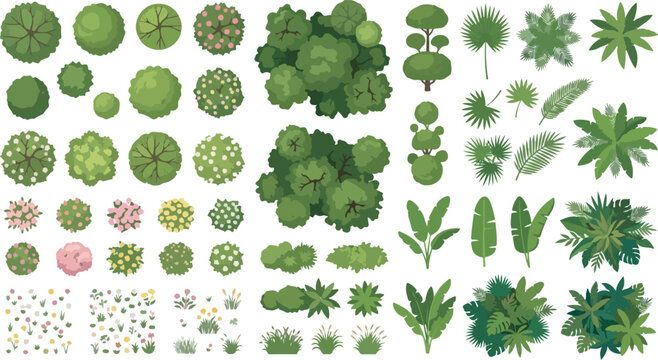 Top view landscape trees and plants vector set, architectural garden greenery and bushes for site plan, overhead forest vegetation symbols