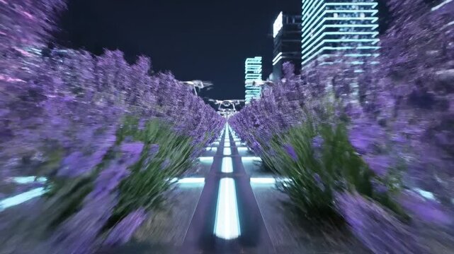Futuristic cityscape with rows of lavender plants lining a glowing path, drones fly overhead, night scene, urban nature, technology blend