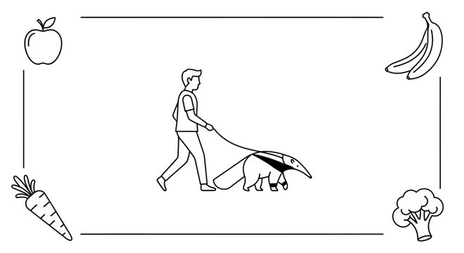 Man walking anteater on leash with healthy food items around border