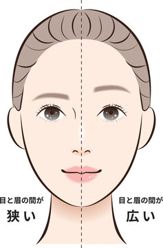 目と眉の間（狭い・広い）左右半顔　比較イラスト