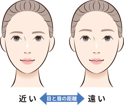 目と眉の距離（近い・遠い）比較イラスト
