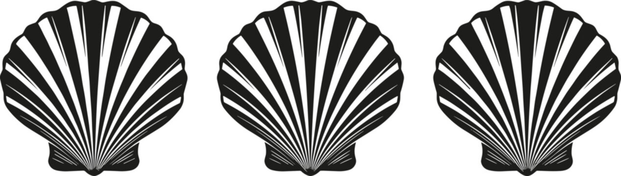 Black seashell silhouette collection isolated on gray background for marine nature logo and decorative design concepts