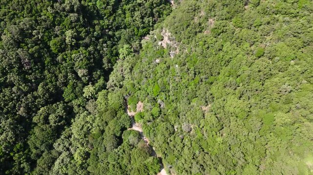 Aerial Top Down Drone View of Polylimnio Canyon in Greece with Dense Mediterranean Forest, Rocky Gorge, Hidden Waterfall and Hiking Trail