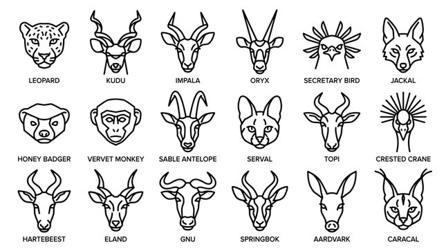 A collection of simple line art icons depicting the heads of various African animals, including mammals and birds.