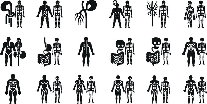 Human anatomy medical systems black silhouette icon set with skeleton organs and muscles vector illustration