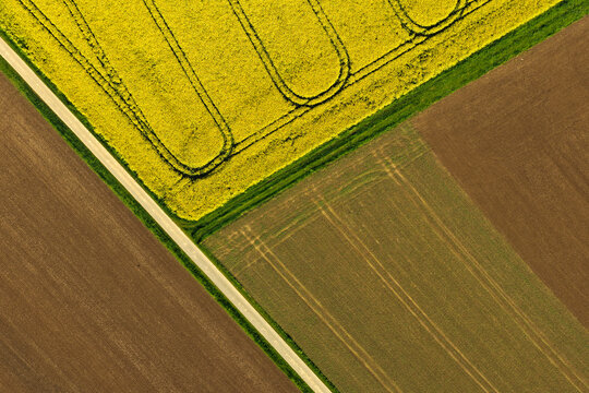 Aerial view of vibrant yellow rapeseed fields and brown agricultural land with geometric tractor tracks and a diagonal rural road Hofgeismar, Hessen, Germany.
