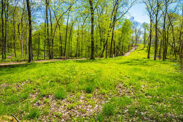 Great Bear Mound Effigy Mounds Iowa © PhotoSpirit