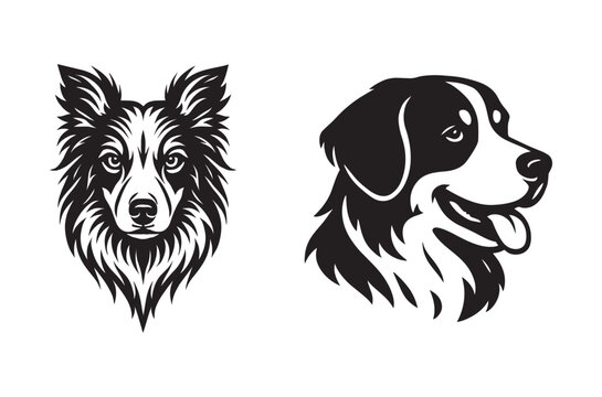 Two border collie dog heads in a black and white illustration