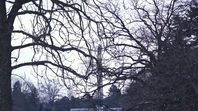 4K video of a lonely, dreary, dark, gray, gloomy day in desolate nature, frozen forest full of trees with bare, leafless branches and an obelisk in the winter, with snow on the ground, frost and ice.