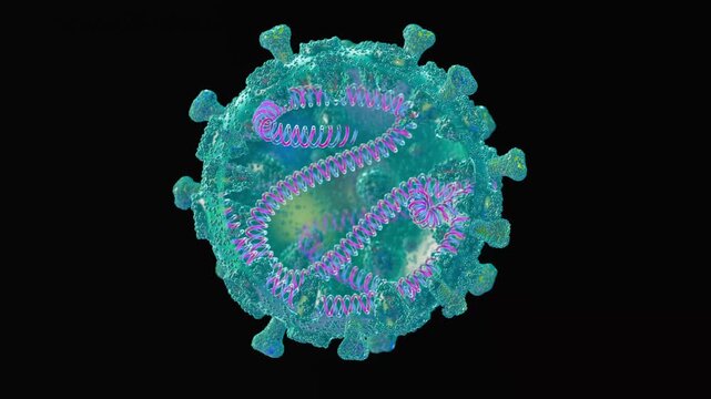 norovirus under microscope with RNK, 3d style, video 4k, view of the cell from the outside and inside