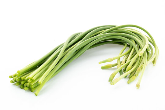 Henan Province Agricultural Product Garlic Scape in China