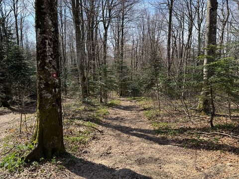 Marked hiking trails on Mount Klek, Protected landscape Klek - Ogulin, Croatia (Markirane planinarske staze na planini Klek, Značajni krajobraz Klek - Ogulin, Hrvatska)