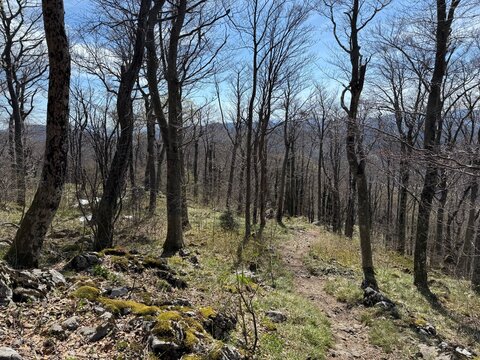 Marked hiking trails on Mount Klek, Protected landscape Klek - Ogulin, Croatia (Markirane planinarske staze na planini Klek, Značajni krajobraz Klek - Ogulin, Hrvatska)