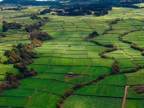 Aerial view of lush green patchwork fields divided by traditional stone walls and rolling hills on Terceira Island, Azores, Portugal.