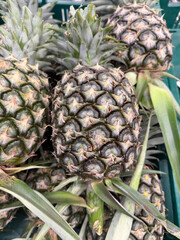 Fototapeta premium pineapple on market counter