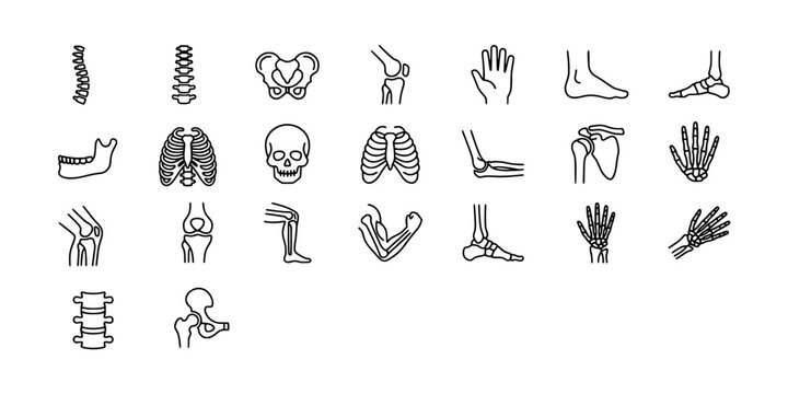 Icon set collection of detailed human anatomy, skeletal structures, bones, joints, and orthopedic elements for medical, educational, and healthcare illustrations.