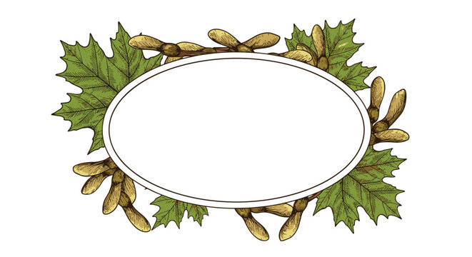 Oval white frame surrounded by a lush arrangement of green maple leaves and winged maple seeds in a vintage botanical drawing style.