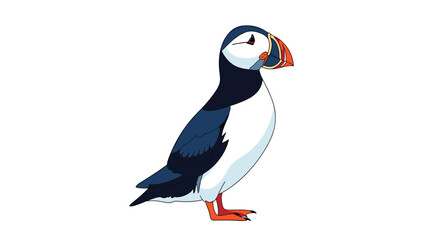Naklejka premium Colorful atlantic puffin bird standing on a white background showing its distinctive black and white plumage and bright orange beak.