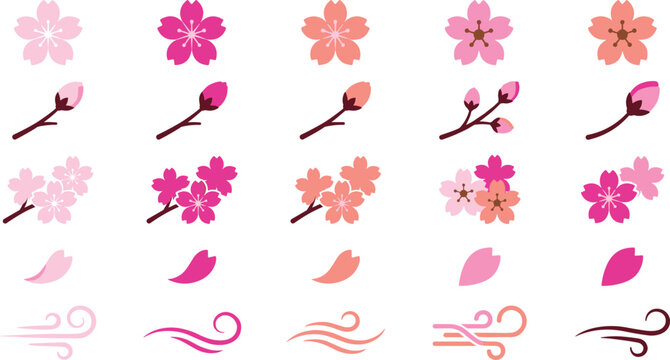Pink sakura cherry blossom flowers buds branches petals and wind swirl elements set for spring design vector
