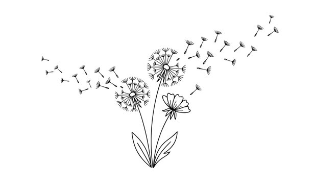 Minimal monochrome dandelion flower vector illustration isolated on white background