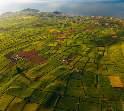 Aerial view of the lush agricultural patchwork of Pico Dona Joana volcanic cone and surrounding green fields under soft sunlight Feteira, Acores, Portugal.