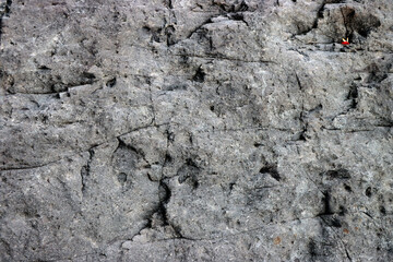 Fototapeta premium Grey rock stone texture closeup, natural rock textured background 