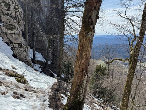 The last remnants of spring snow on the mountain and in the Klek Botanical Reserve - Ogulin, Croatia (Posljednji ostaci proljetnog snijega na planini i u botaničkom rezervatu Klek - Ogulin, Hrvatska)