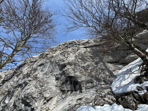 The last remnants of spring snow on the mountain and in the Klek Botanical Reserve - Ogulin, Croatia (Posljednji ostaci proljetnog snijega na planini i u botaničkom rezervatu Klek - Ogulin, Hrvatska)