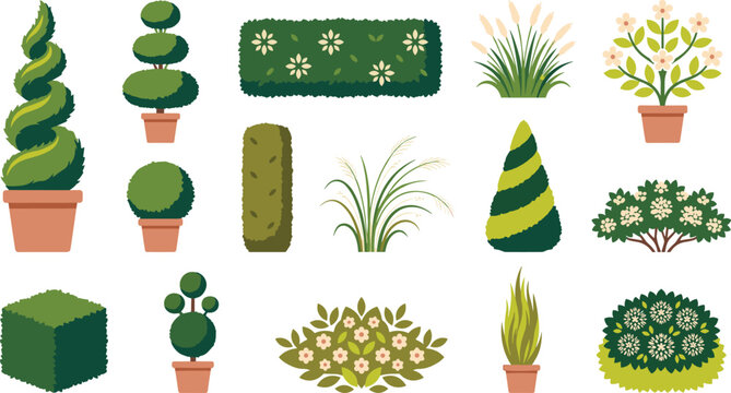 Garden topiary and potted plants elements set with trimmed bushes spiral trees and flowers for landscape architecture vector