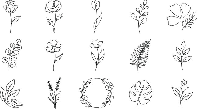 Minimalist line art floral elements vector bundle elegant single line botanical flowers leaves branches icons for logo design