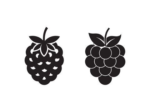 Blackberry and raspberry icons  two berry silhouettes with leaves on white background