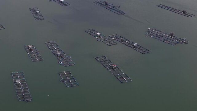 Aerial footage of fish cages or fish farming enclosures at the Wadaslintang dam in Wonosobo, Indonesia.