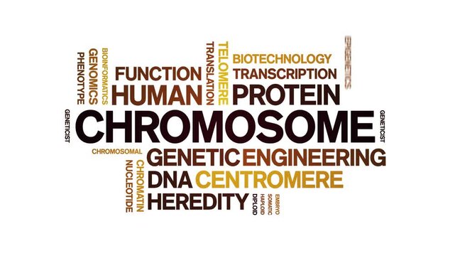 Chromosome animated word cloud-text design animation tag kinetic typography seamless loop.