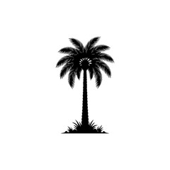 Obraz premium Single Palm Tree Silhouette