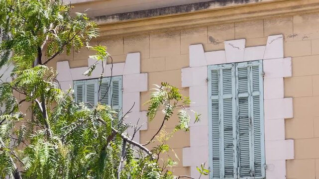 Traditional French Building Facade with Blue Shutters and Green Foliage