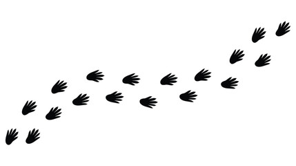 Animal footprints on transparent background with rat and mouse paw prints. Simple flat style vector trail isolated illustration related to rodents and hantavirus.  © north100
