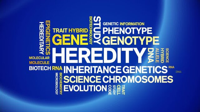 Heredity animated word cloud-text design animation tag kinetic typography seamless loop.