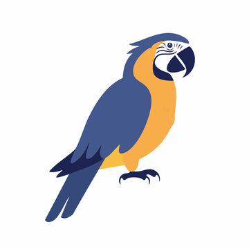 Blue and Yellow Macaw Parrot Illustration