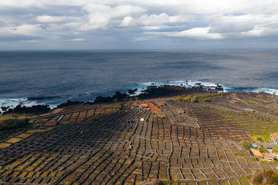 Aerial view of traditional volcanic stone walls protecting vineyards along the rocky coastline under a cloudy sky in Biscoitos, Azores, Portugal.
