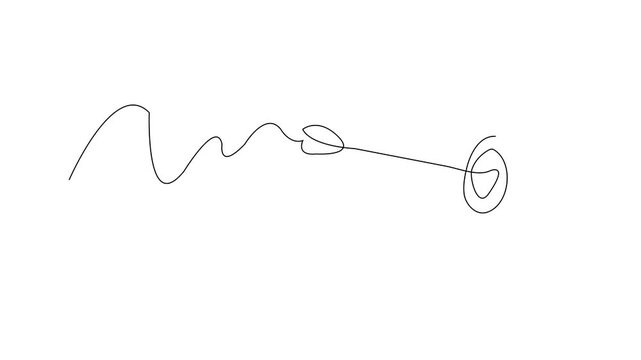 Line Art: Artistic lines dance gracefully, tracing a path that starts in complexity and ends in perfect focus, capturing the beauty of a minimalist creation.