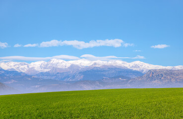 Obraz premium Panoramic view of Taurus (Toros) Mountains with green grass field - Adana, Turkey