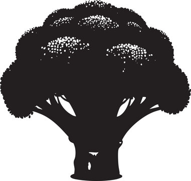 Broccoli silhouette head vector graphic with black and white broccoli vegetable nutrition ingredient shopping silhouette illustration